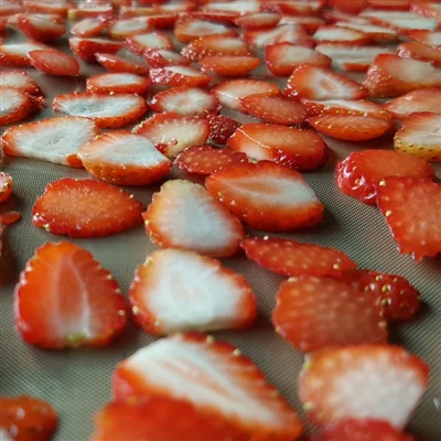 Sušenje sadja z zračnim sušilnikom