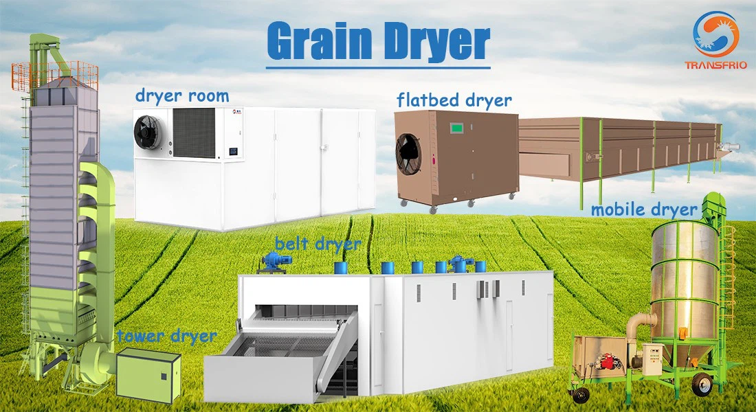 product-1100-600 product-1100-600